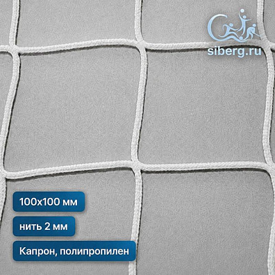 Защитная сетка на окна спортзала 100х100 2 белый (Капрон, Полипропилен)